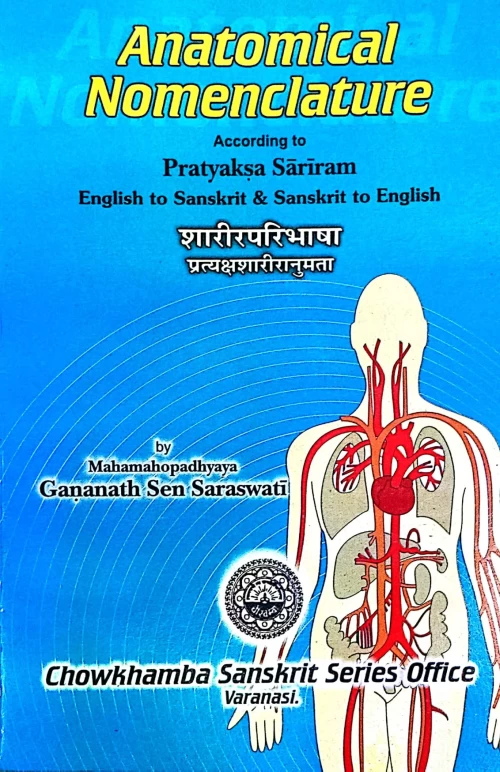 Anatomical Nomenclature